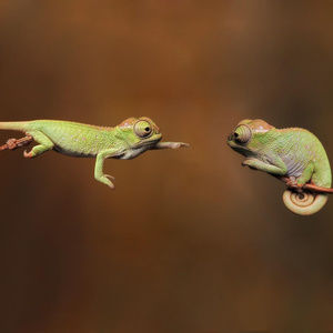 Meet your Posher, Ryan